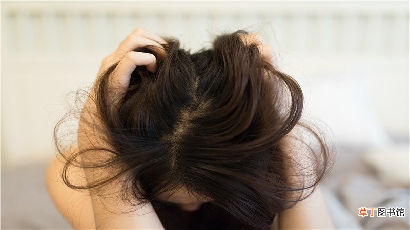 梦见虱子是什么预兆