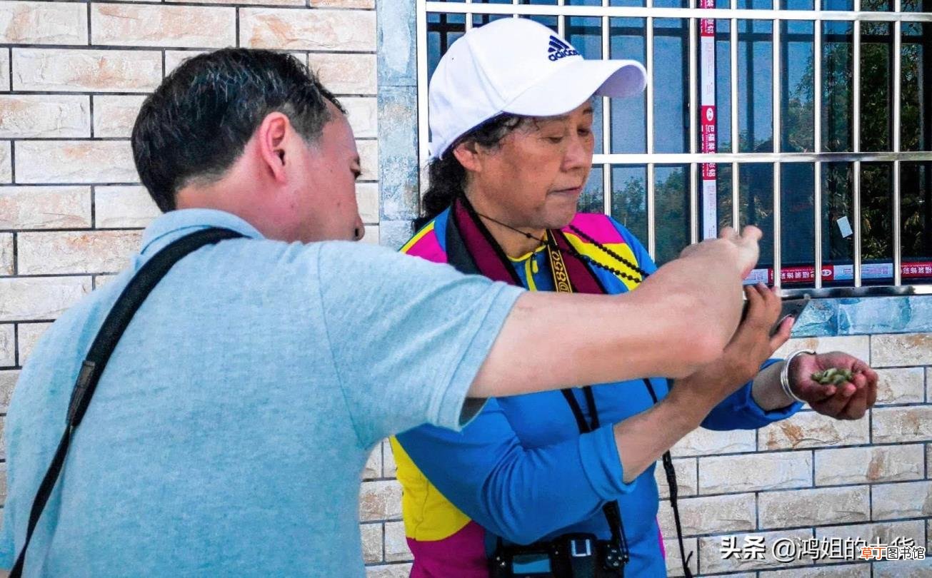 你眼里有星星下句话怎么接 为什么你的眼里总是有星星