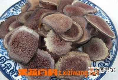 壮阳果的食用方法及技巧