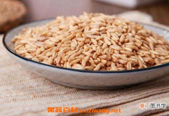 燕麦米怎么吃 燕麦米的食用方法教程