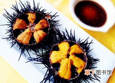 简短介绍 海胆什么季节有黄