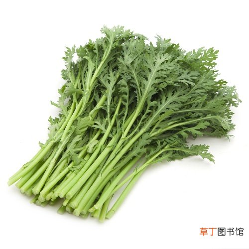 简短介绍 茼蒿和蒿子杆区别在哪