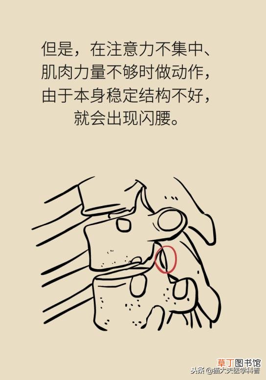 为什么经常闪到腰是怎么回事 为什么腰闪了