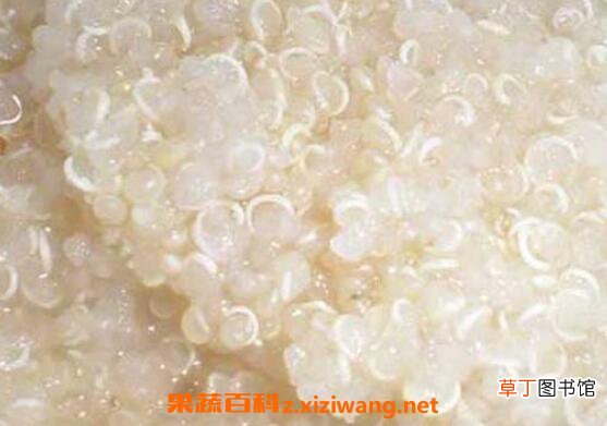 藜麦米的功效与作用及食用方法
