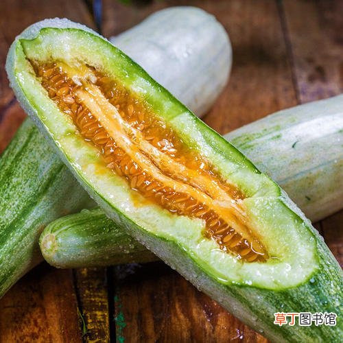 简短介绍 羊角蜜的种植方法和技术