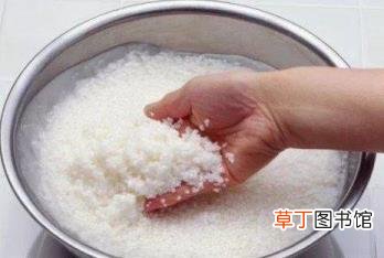 米里面长白色蛆虫还能吃吗 为什么米会生虫
