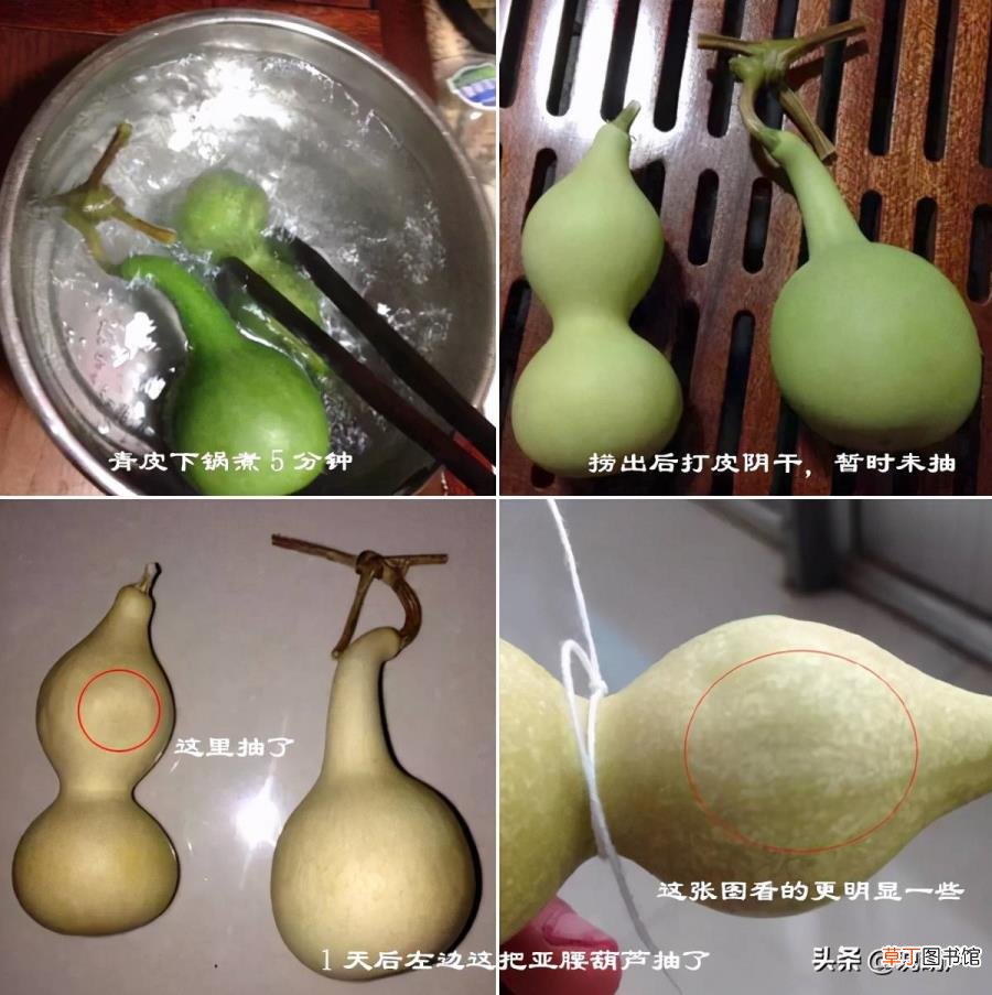 葫芦代表什么 葫芦为什么煮