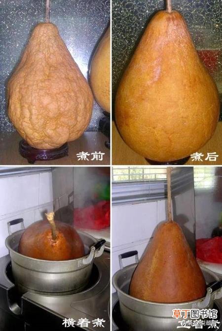 葫芦代表什么 葫芦为什么煮