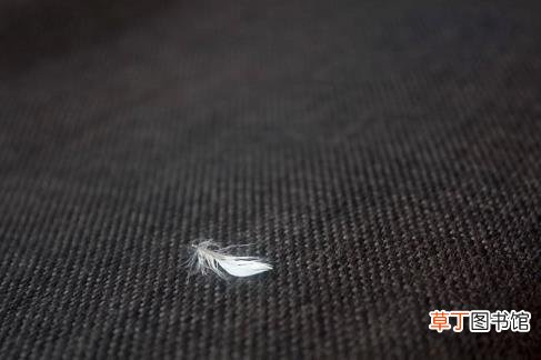 从小到大没人表白正常吗 为什么女生没人追