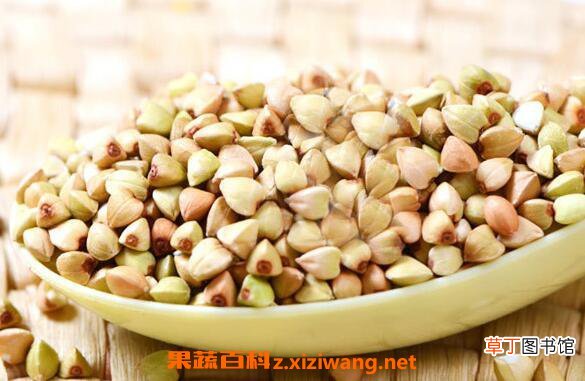 荞麦米的功效与作用 荞麦米的副作用
