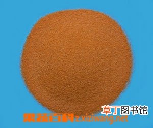 海金沙的功效和作用