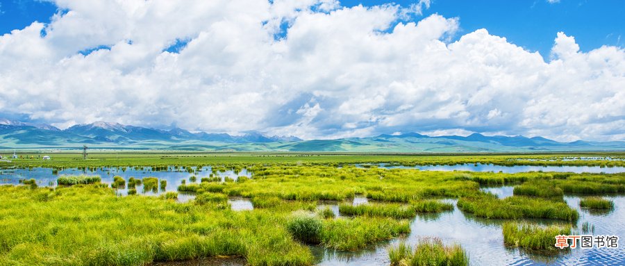 梦见大水淹路是什么意思