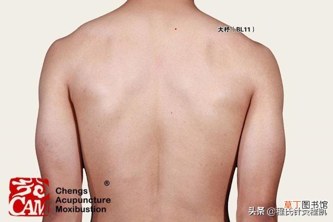 脖子受风疼最快最有效 受风为什么会疼