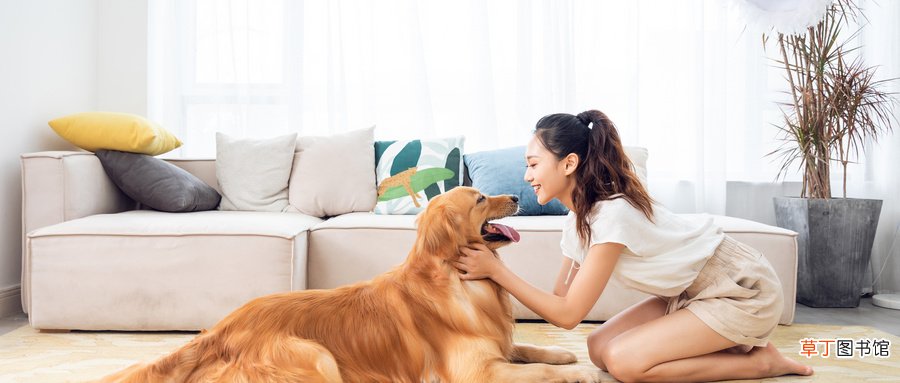 孕妇梦到黄狗咬手什么意思