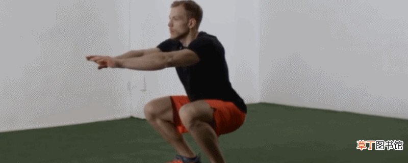 大腿训练动作无器械