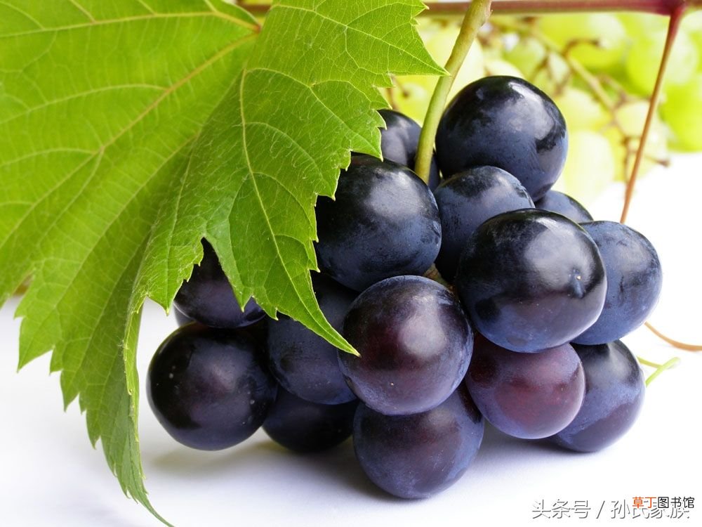 葡萄的功效与作用 水果知识——葡萄