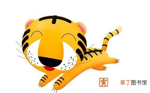 老鼠和老虎合不合