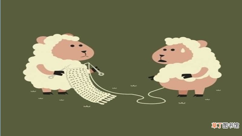 属羊和属牛的合不合