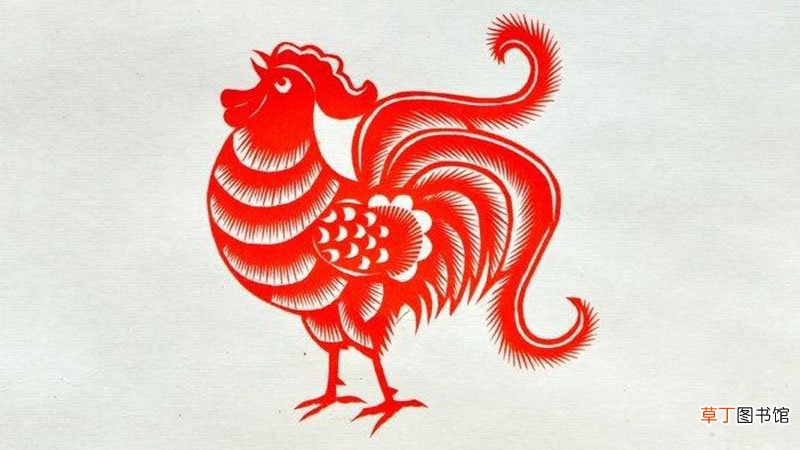 属鸡的和什么属相不合