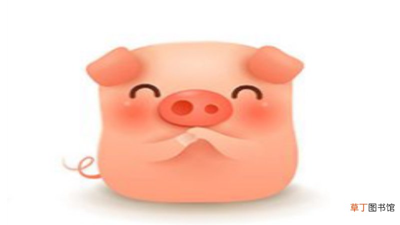 2007年出生的孩子是什么命