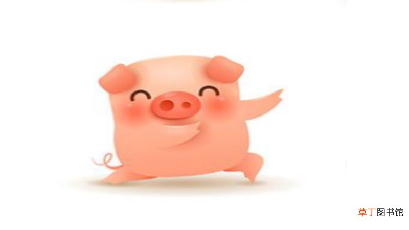 2007年出生的孩子是什么命
