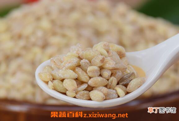 炒麦仁的功效与作用