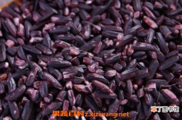 墨江紫米的功效与作用
