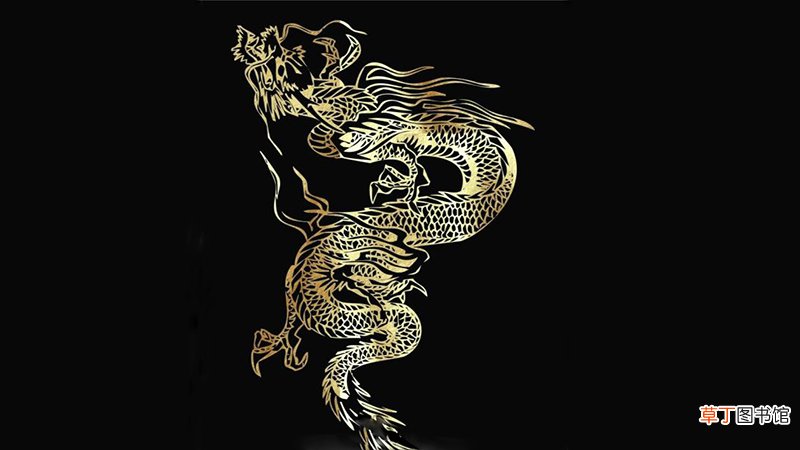 属龙和属狗的合不合