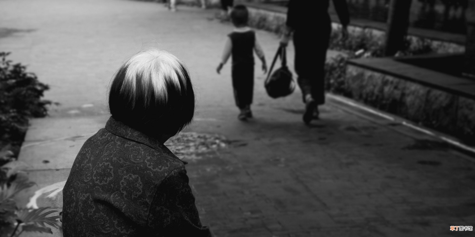 女人梦见头发白了一片是什么意思