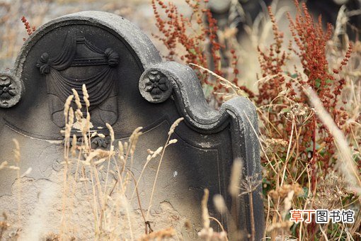 梦见死人了是什么预兆
