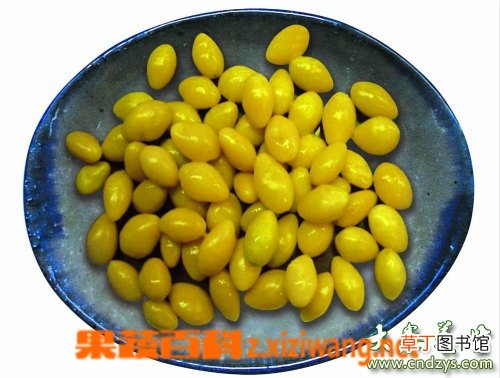 白果仁有什么功效与作用