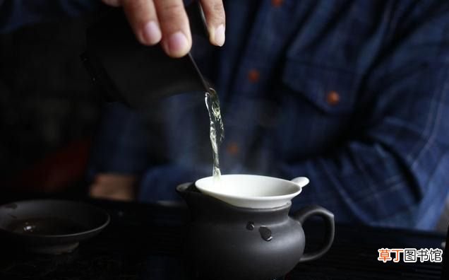铁观音如何冲泡 但铁观音该如何冲泡最好喝？