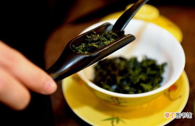铁观音如何冲泡 但铁观音该如何冲泡最好喝？