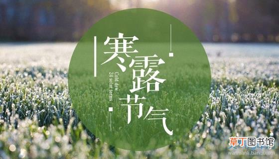 寒露节气吃什么食物 寒露节气的含义是什么