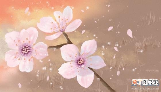 24个节气是怎么排序的 二十四节气表顺序