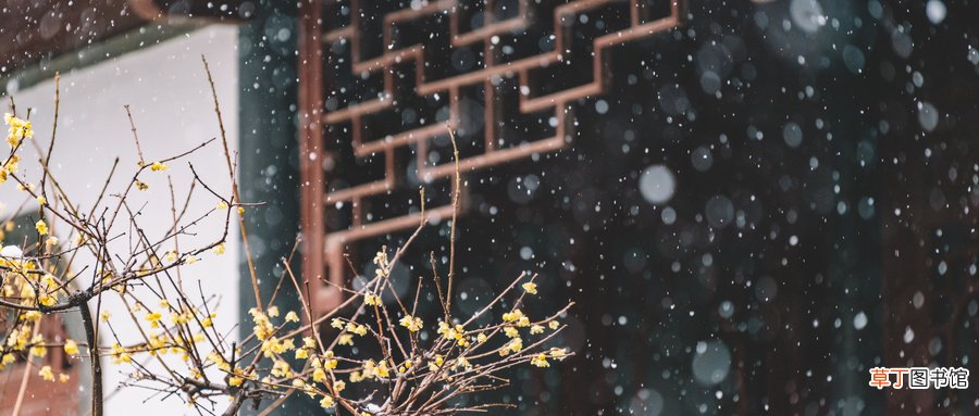 梦见屋里漏雨是什么意思