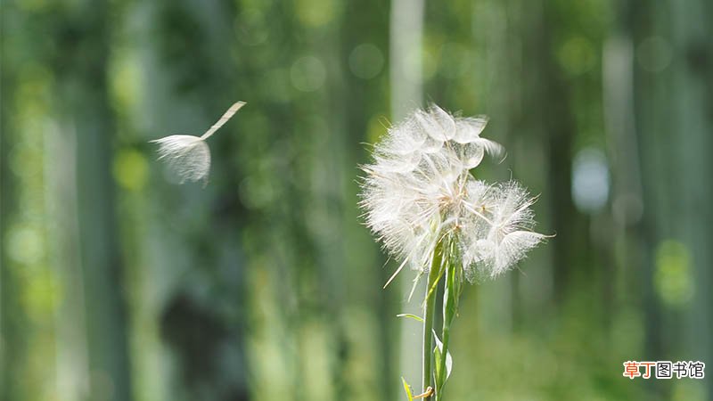梦见刮大风什么意思