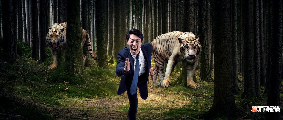 梦见被追杀逃跑成功是什么意思