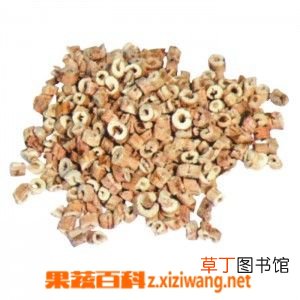 牡丹皮的功效与药用作用