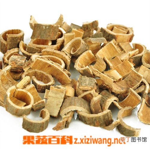 合欢皮有什么用 合欢皮的功效与作用