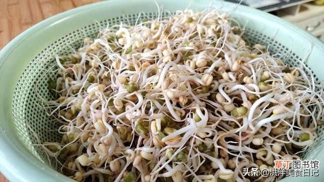 在家自己生绿豆芽怎么生 在家生绿豆芽只要记住这两点