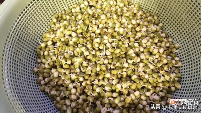 在家自己生绿豆芽怎么生 在家生绿豆芽只要记住这两点