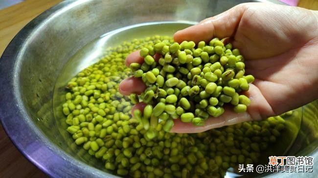 在家自己生绿豆芽怎么生 在家生绿豆芽只要记住这两点