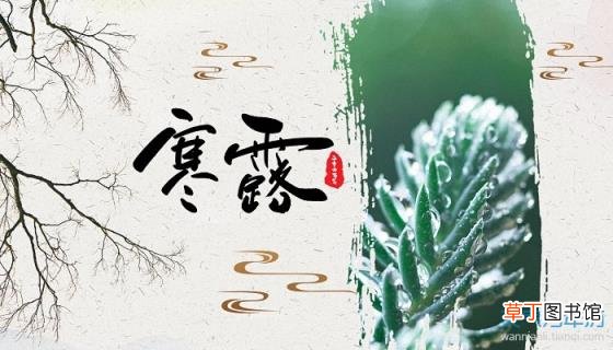 关于寒露的谚语或俗语 寒露谚语俗语大全