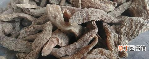 干天麻的保存方法 干天麻怎么保存