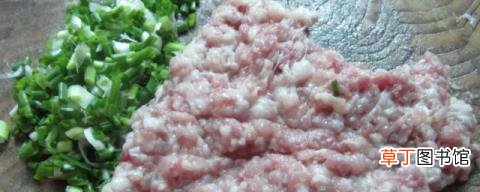 做肉泥是先煮还是先搅 做肉泥需要先煮还是先搅