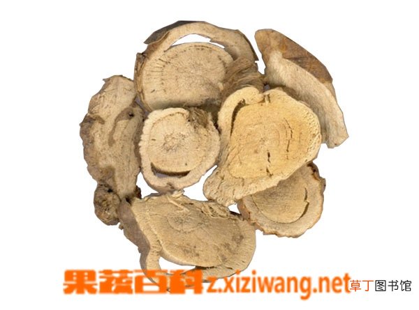 苦参的功效与药用作用