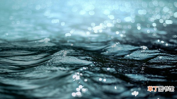 梦见掉进水里什么意思