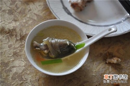 甲鱼汤怎么炖补肾效果好 甲鱼补肾汤的详细做法