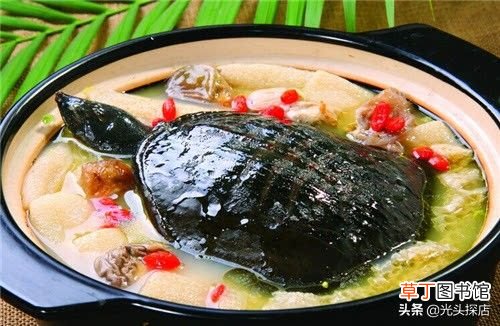 甲鱼汤怎么炖补肾效果好 甲鱼补肾汤的详细做法